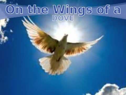 On the Wings of A Snow White Dove Lyrics - Evie - Sifa Lyrics