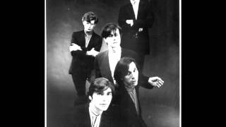 Shadow Line   Fleshtones (live)