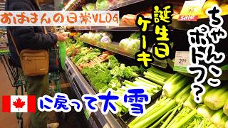 【🇨🇦日常VLOG】カナダに戻ったら｜大雪｜ちゃんこポトフ｜バースデーケーキのデザイン｜卵インフレ｜フランス語で｜Duolingo｜今日の猫｜