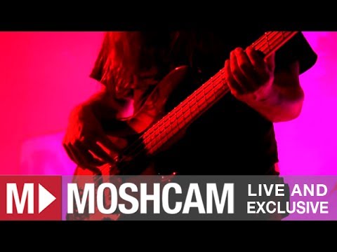 Opeth - Nepenthe | Live in Sydney | Moshcam