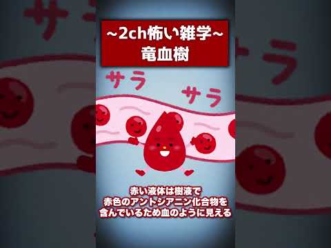 龍血樹の救世主