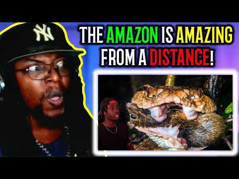 Why the Amazon Makes Australia Look Like a Joke [Casual Geographic] DB Reaction