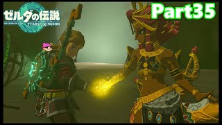【35】ぼっち勇者の天空探検【ゼルダの伝説ティアーズオブザキングダム】