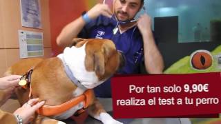 CAMPAÑA TEST DE LEISHMANIA Y ANALÍTICA COMPLETA 2016/2017