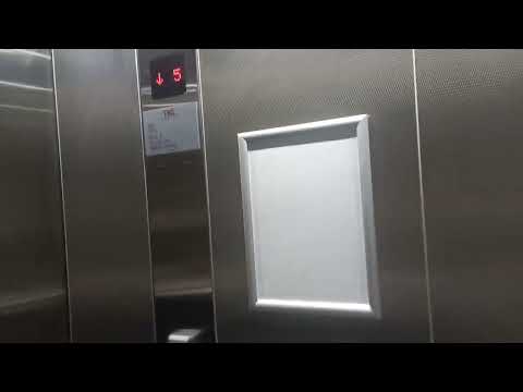Slamming Doors! ThyssenKrupp Evolution? MRL Traction Elevators at TAFE Coomera, Gold Coast, QLD