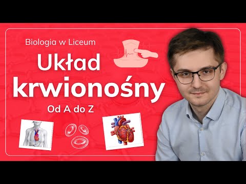 , title : 'Układ krążenia od A do Z'