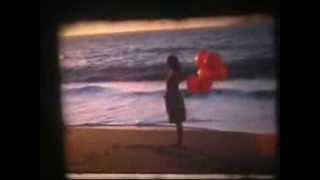 Family - Viaje a Los Sueños Polares