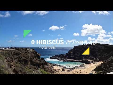 児童教育学科 安田女子大学 国際観光ビジネス学科　2020 HIBISCUS programハワイ海外研修プログラム2021年11月ダイジェスト