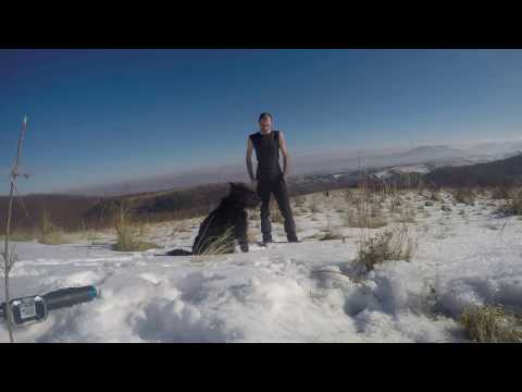 Valea Vadului Iarna Ep 1