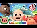 Sea Animal Song More Nursery Rhymes Kids Songs CoComelon