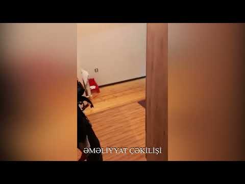 FHN Mətbuat xidmətinin məlumatı ( video)