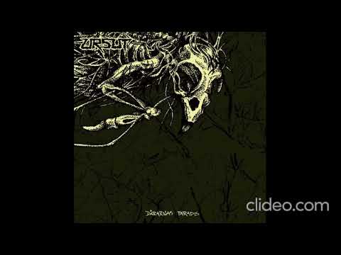 Ursut   Med benen på ryggen och tummen rätt i mun (Loop)