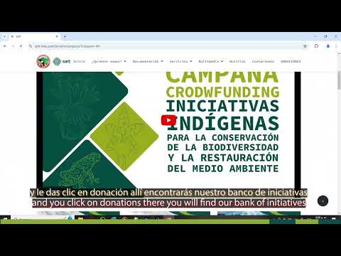 YouTube video