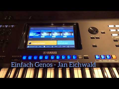 Einfach Genos - Jan Eichwald erklärt Yamaha Genos (Teil 4: OTS)