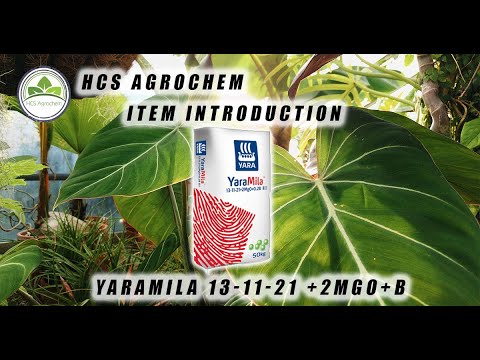 (PART 6 , END)YaraMila series: 13 11 21 + 2MgO+O +2B, how good can it go? 100 subs thanks!!!