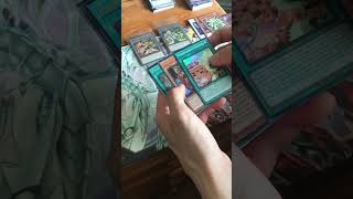 Yugioh: Rarity Collection 5 Pack Opening | Part 11