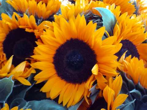 Recepta -Andrzej Henryk Mielczarek -Wiersze