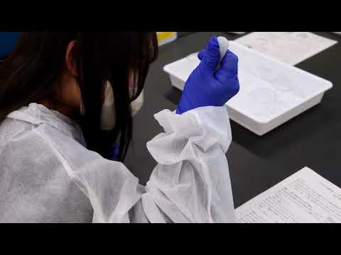 健康栄養学部　学びの体験講座　生化学スポーツ栄養
