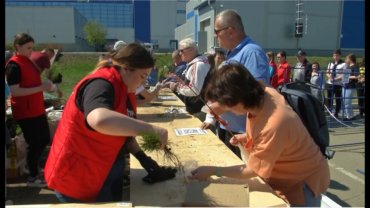 Время местное. Эфир:29-04-2026 - Бесплатная раздача саженцев