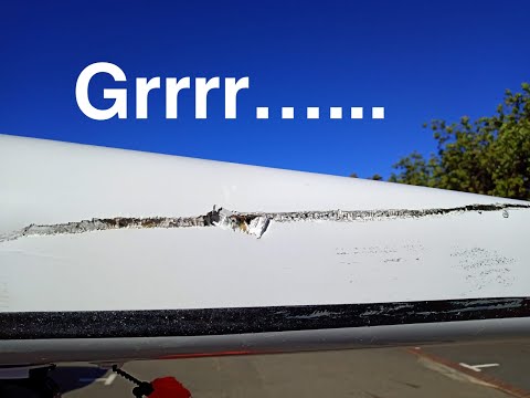 SURF-SKI: SwordFish in Hospital. Snappy Seal avoids following Suit (Millers #72)