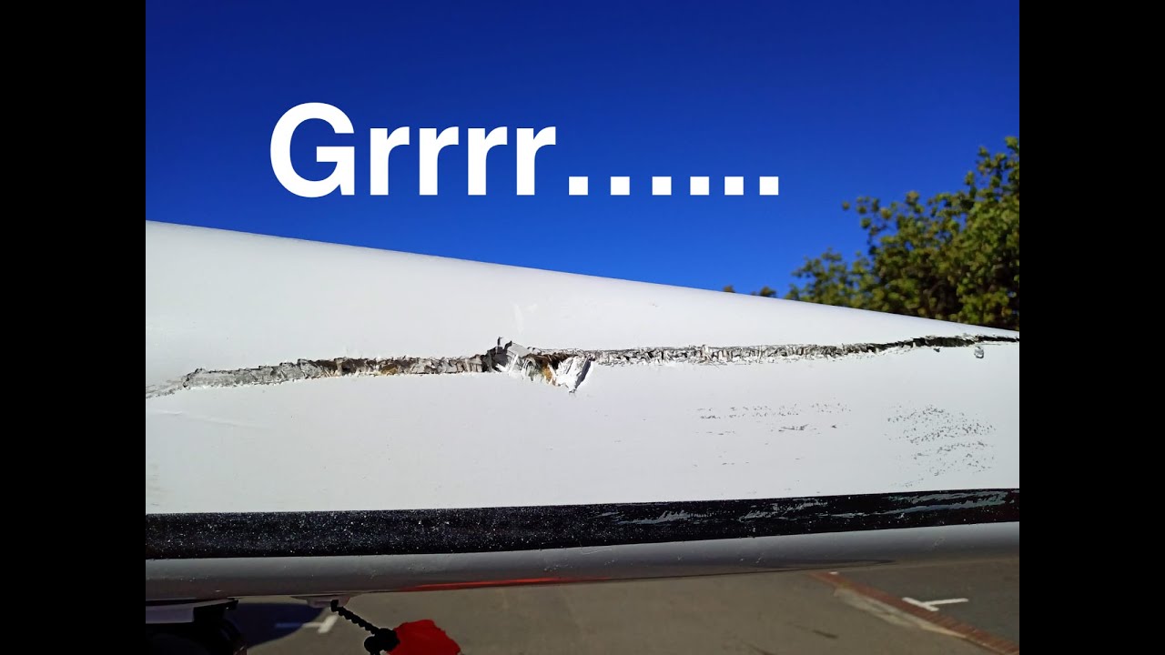 SURF-SKI: SwordFish in Hospital. Snappy Seal avoids following Suit (Millers #72)