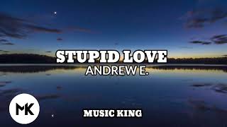 STUPID LOVE (ANDREW E.)