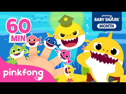 ALLE Kinderreime von Baby Hai – 60 Minuten | Singen und Tanzen | Pinkfong! Baby Hai Kinderlieder