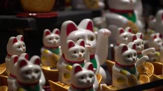 Traphattans - MARVILTRON