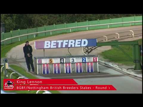 The BGBF/Nottingham British Breeders Stakes - Ht 6 - King Lennon
