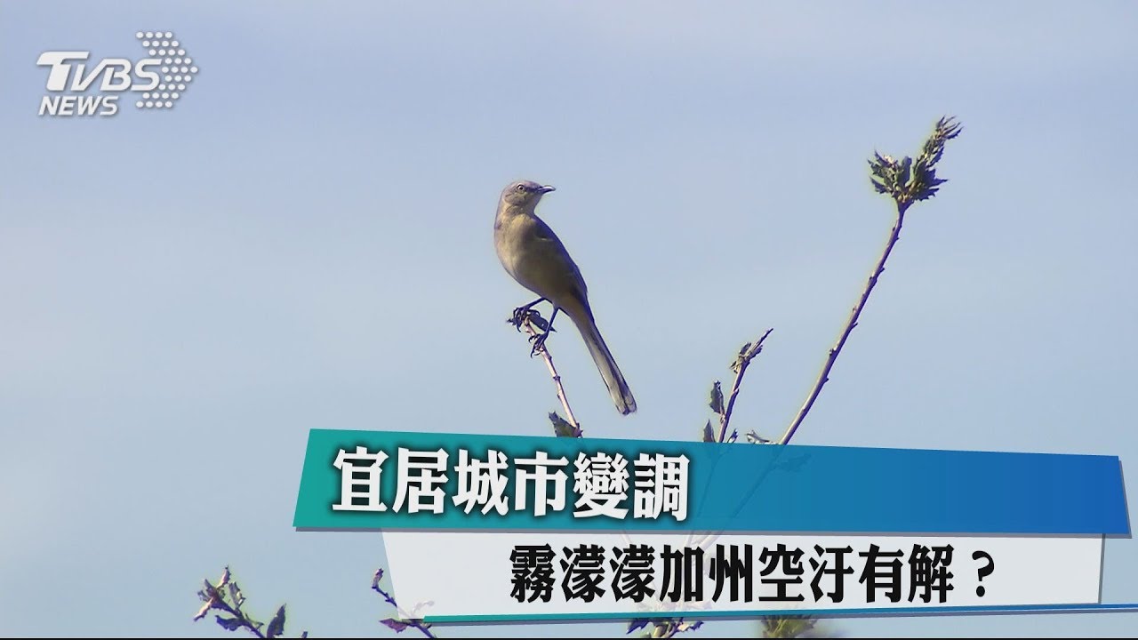 宜居城市變調　霧濛濛加州空汙有解？