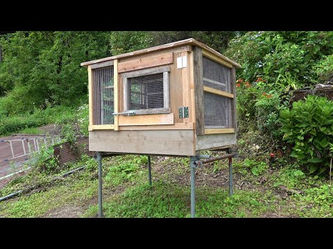 鶏小屋で珪藻土を使用するにはどうすればよいですか?利点と使用方法  庭園