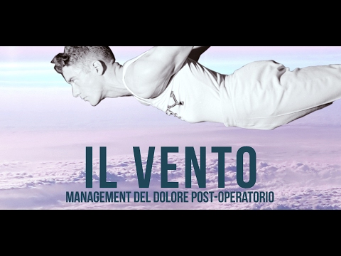IL VENTO - Management