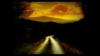 Roly Daniels - The Old Bog Road