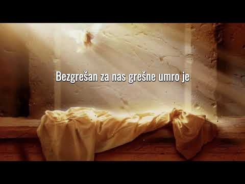 DARIO BEZIK   MOJ KRALJ ZIVI