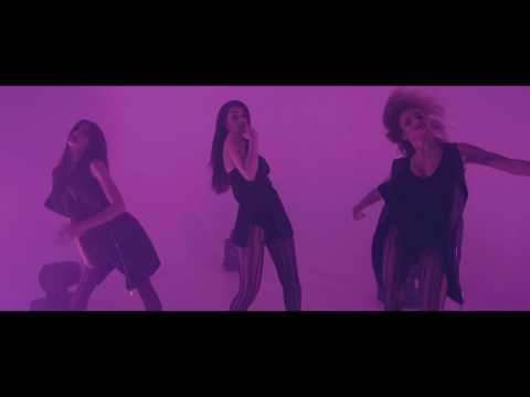 Flavy DeeJay feat  Evva - Nu Arde (Official Video)