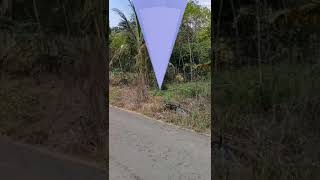 Download lagu story wa jalan jalan sore mp3 Download lagu story wa jalan jalan sore mp3