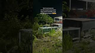 Download lagu Harap maklum masih pemula 🤦‍♂️ mp3