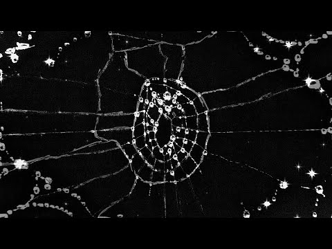 Vivi K - LLEVO UNA ESTRELLA