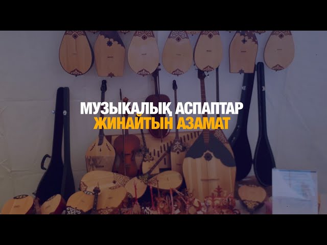 Музыкалық аспаптарды жинайтын азамат
