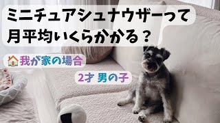 犬1匹との暮らしで月にかかる平均額と、4月分の詳細をお話しています☺︎ 