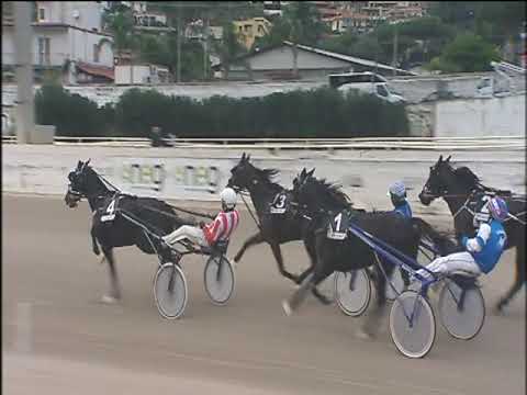 Trotto 10/11/2019 - 5ª corsa