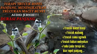 Download lagu terapi trucukan biar cepat bunyi,dan masteran trucuk,kombinasi suara air mengalir full ropel mp3
