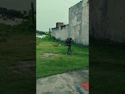 Tainu sang rkhana..#viralshorts #viralvideo #shortmusic #subscribe #lebradogs