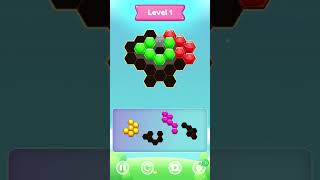 Hexa King (200+ Levels) video preview