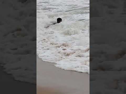 puri#@dibyendushort #puri#beach #sea beach#turist #travel#sea#puri #seabeach #