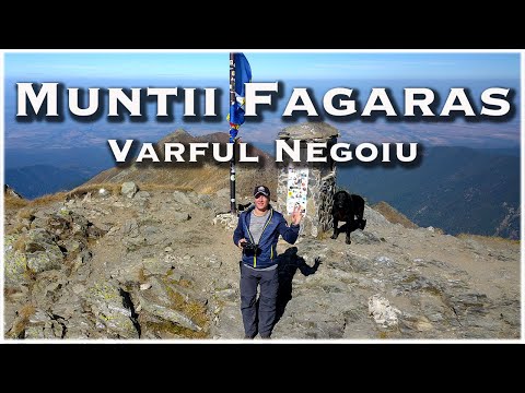 🏞️ Traseul Complet de la Piscul Negru la Varful Negoiu – Aventură Montană cu Câinele Meu 🐾