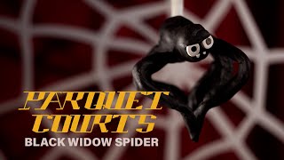 Parquet Courts – “Black Widow Spider”