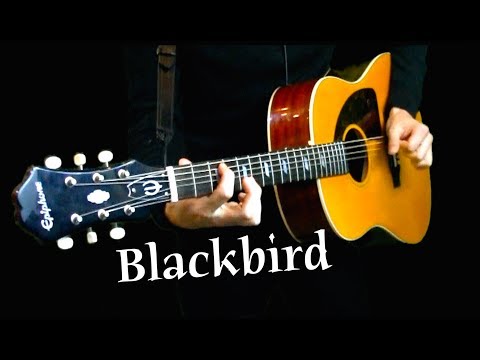 Blackbird - Instrumental Cover - Acoustic Guitar Video