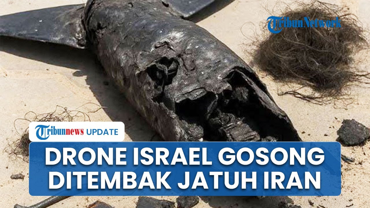 Iran Tembak Jatuh Drone Mahal Israel Senilai Rp 163 Miliar, Misi Pengintaian Zionis Gagal Total