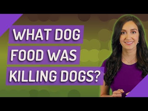 What dog food was killing dogs?